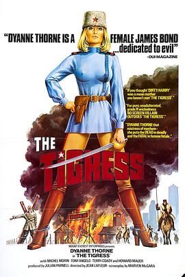 美称互联seo优化